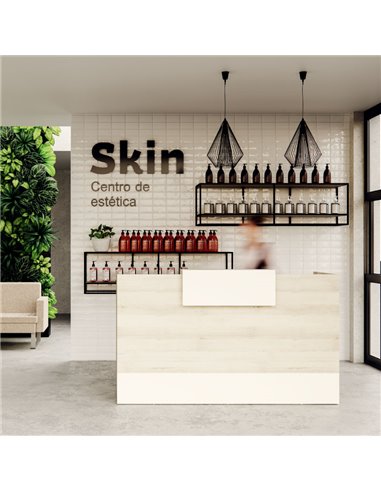 MOSTRADOR RECEPCIÓN AVANCE DE KESTA