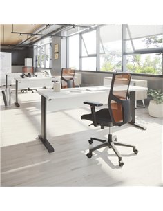 Mesa de oficina T-Fusion Panel de Emobok