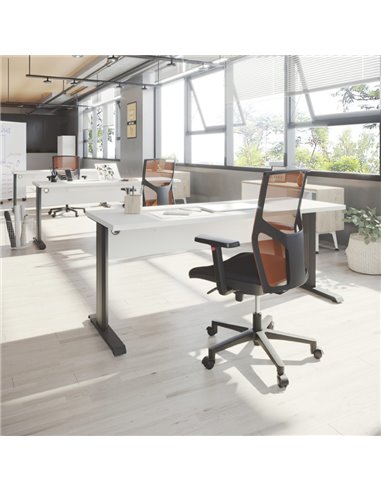 Mesa de oficina T-Fusion Panel de Emobok