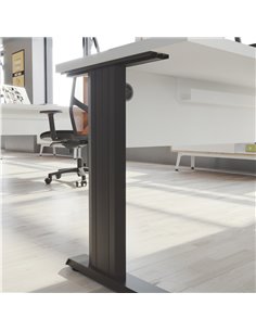 Mesa de oficina T-Fusion Panel de Emobok