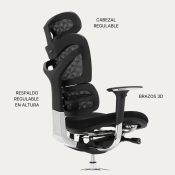 Silla ergonómica XXL New Ergostone 24h hasta 150 kg | Laoficinaonline