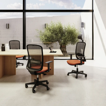 Silla ergonómica Aura con respaldo de malla y ajuste lumbar | Laoficinaonline