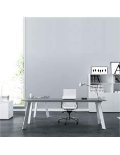 Mesa direccion Rec de AIC Martínez Medina